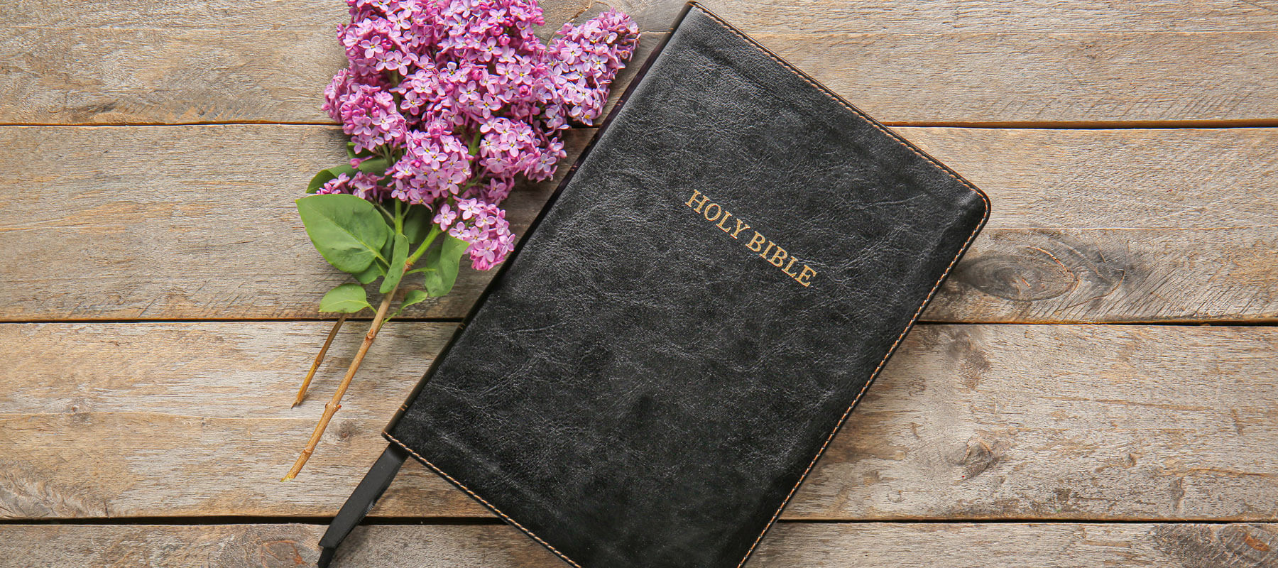 Bible