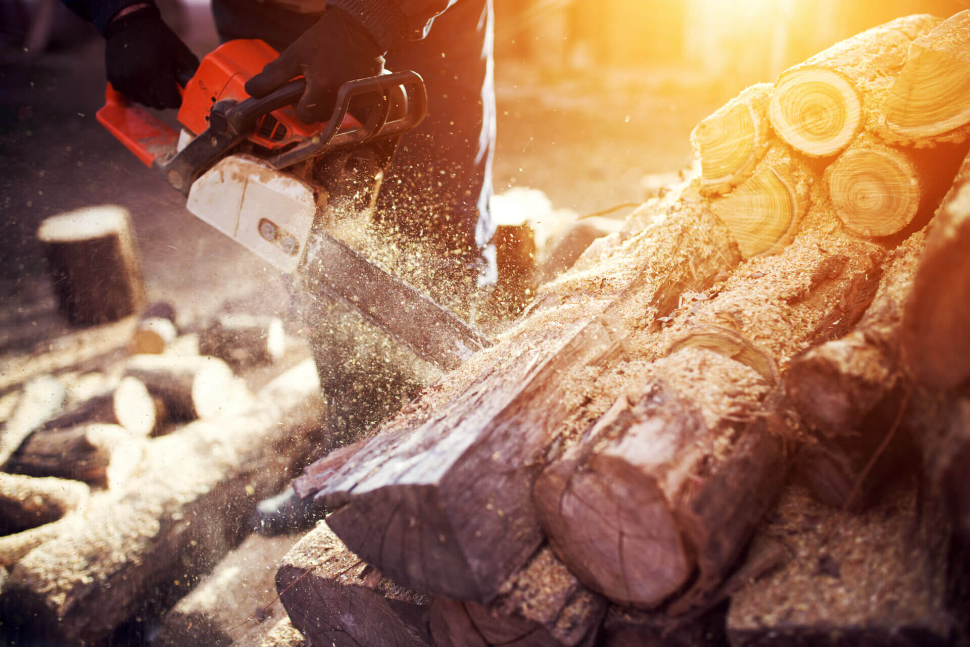 Cutting Wood With Chainsaw At Backyard, Lumberjack Work Profession.